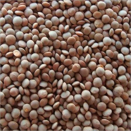 America's Best Masoor Whole, 2lb