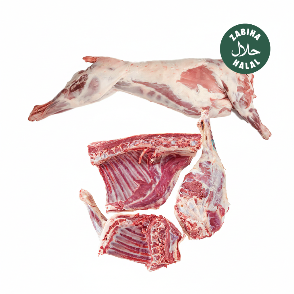 Lamb